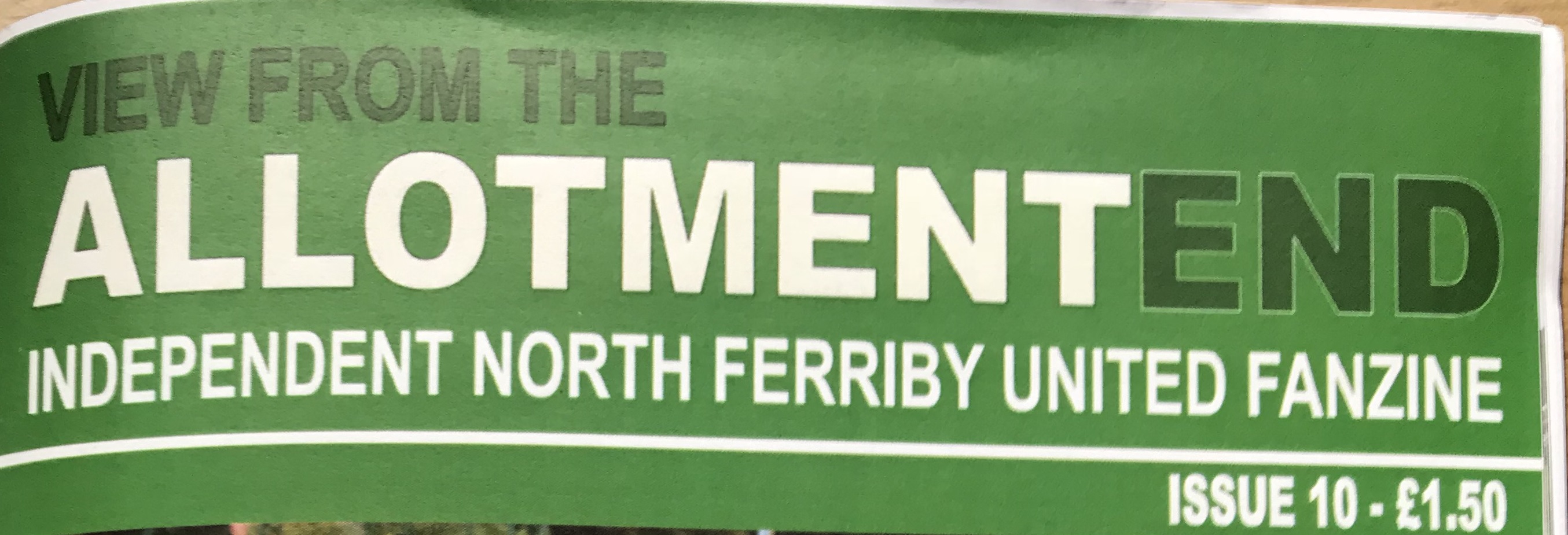 AllotmentEndCoverCrop2